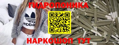 индика Будённовск