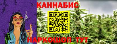 индика Будённовск