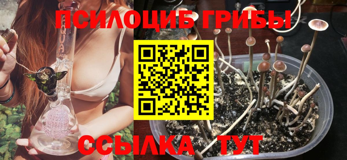 Псилоцибиновые грибы Magic Shrooms  Псилоцибиновые грибы мицелий  Вход с VPN  Невинномысск 